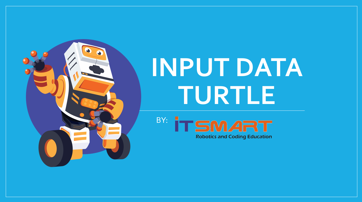 Module 3: Input Data Turtle