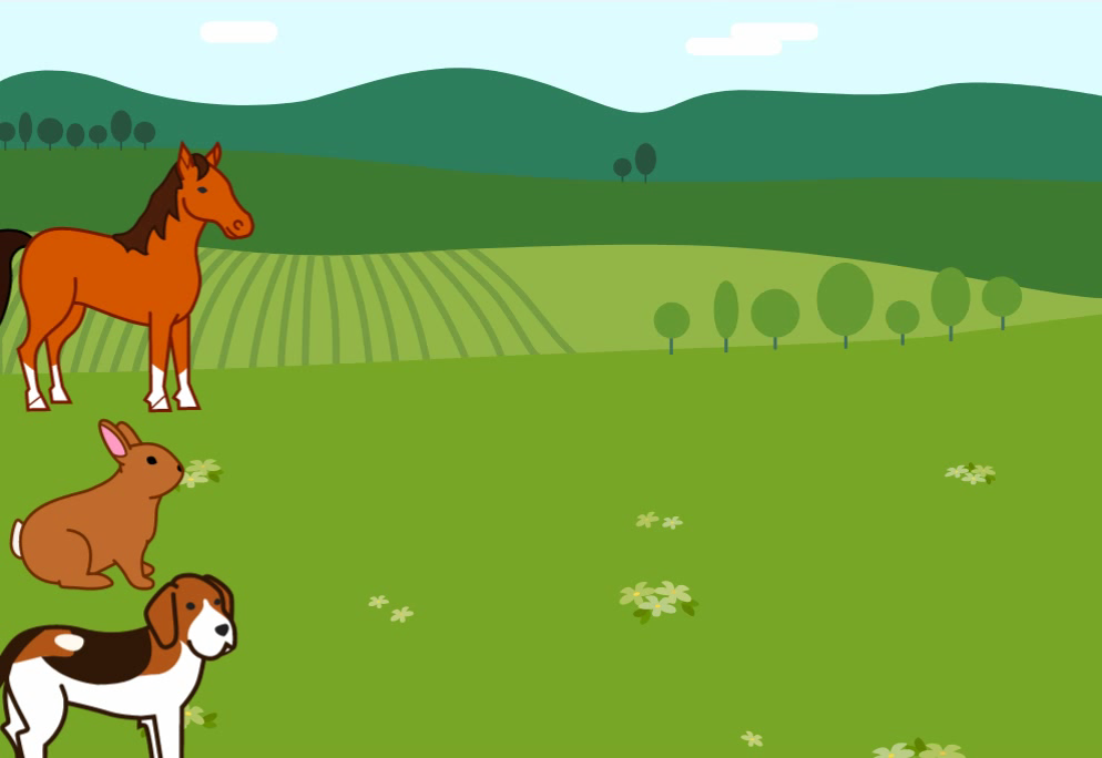 Module 6B - Animal World: Animal Race